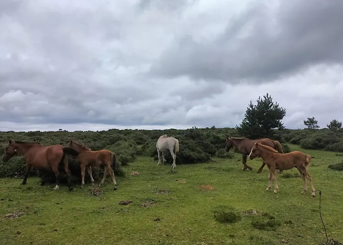 Appartement Apto A 3 Mins Playa *